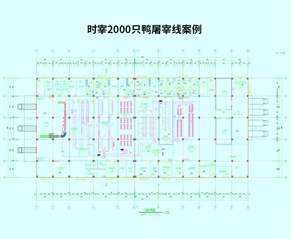 時宰2000只鴨屠宰線案例