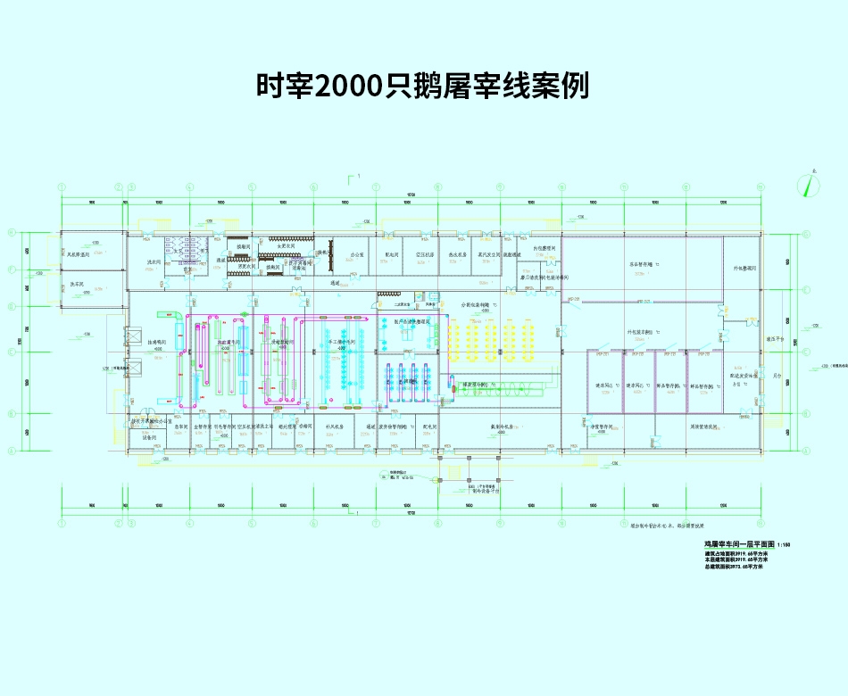 時宰2000只鵝屠宰線案例