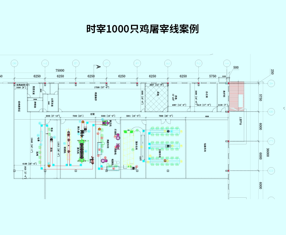 時宰1000只雞屠宰線案例